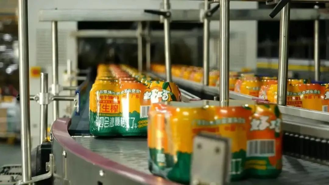 四会大沙：以桔为媒搭起“两化融合”一道桥