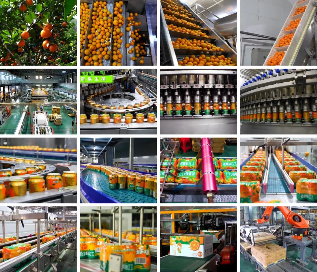 品牌大旺 | 做强做大沙糖桔产业，好巧奏响品牌更强音！