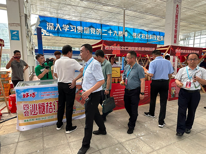 全力服务乡村振兴 | 肇庆奇乐荣获“广东省退役军人农业双新双创产业融合示范企业”！