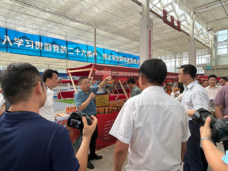 全力服务乡村振兴 | 肇庆奇乐荣获“广东省退役军人农业双新双创产业融合示范企业”！