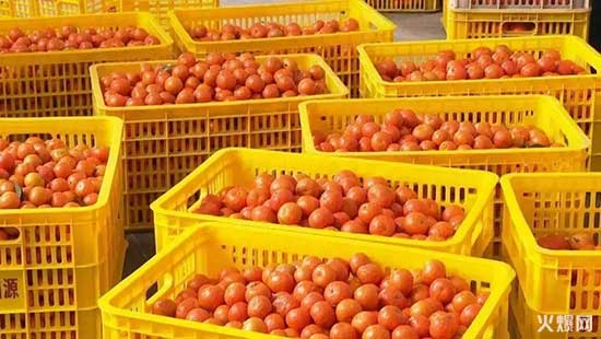 经销商请注意，夏季饮料大战开锣，好巧开启“冰爽行动”！